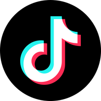 Social icon 3